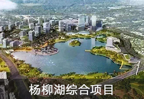 成都芯谷杨柳湖片区综合开发EOD项目城市合伙人